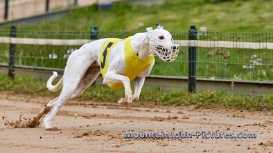 2022-05-01_09-25-18__G__0012