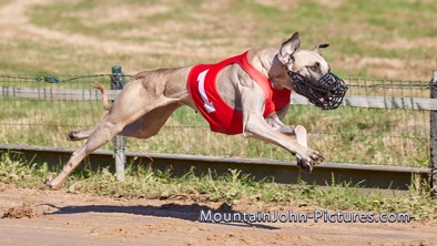 2022-07-03_08-58-31__G__0011