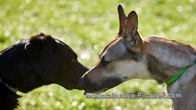 2022-10-03_10-16-57__G__0399