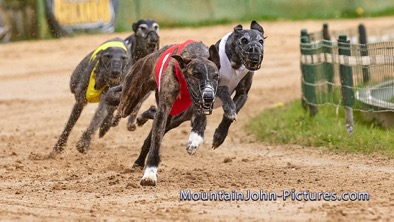 2023-04-23_15-15-30__G__4164