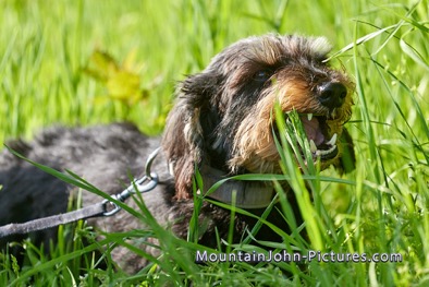 2023-05-18_09-14-46__G__0027