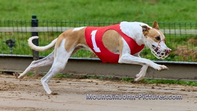 2023-09-02_10-08-00__H__0037