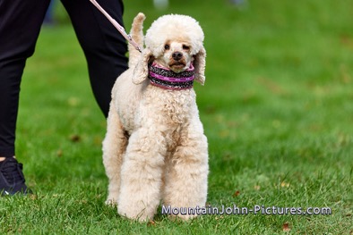 2023-10-03_10-02-17__G__0001