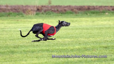 2025-10-19_09-51-30__G__0071_00070