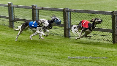 210710_081348_F__0013